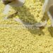 top sulphur suppliers